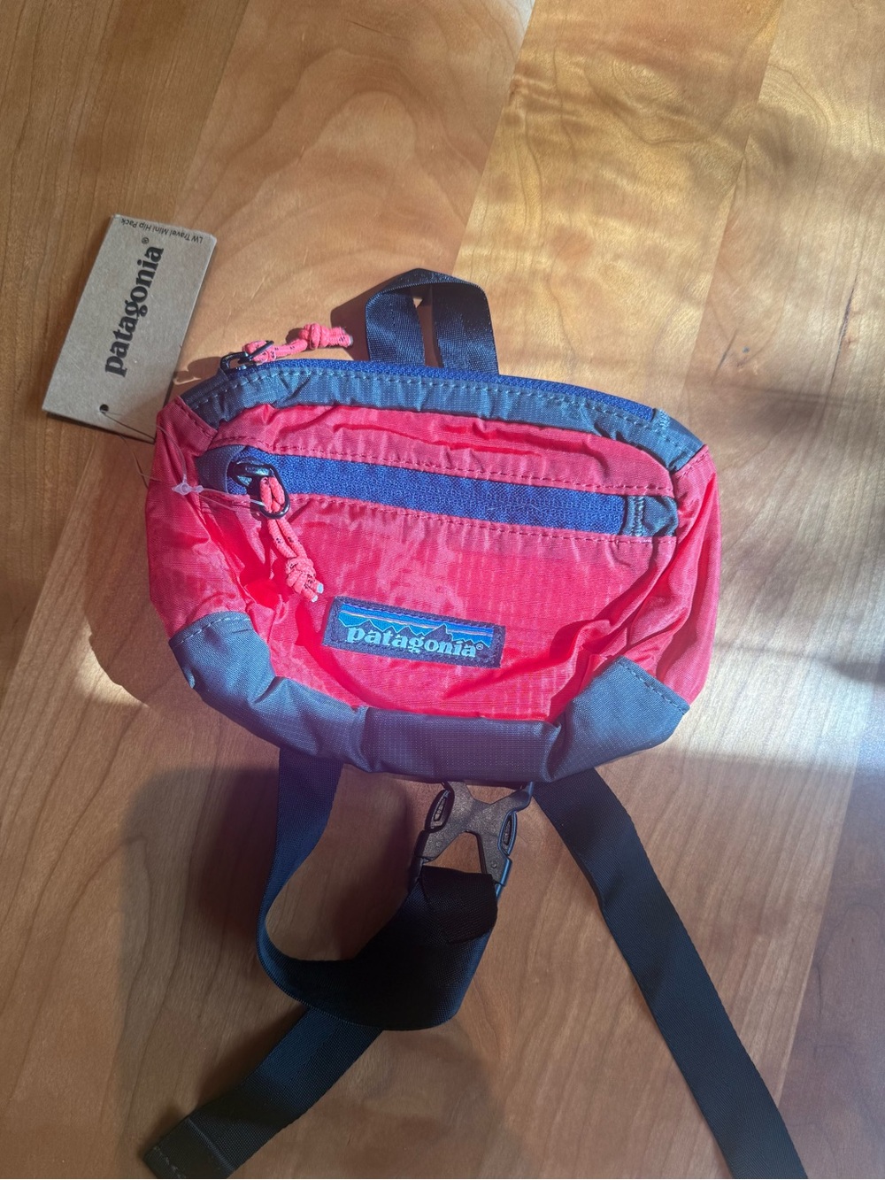 Patagonia butt Pack - Lightweight Hip Pack